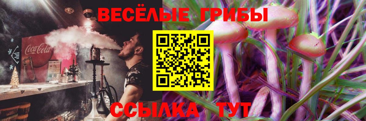 Прохладный  Галлюциногенные грибы Psilocybine cubensis  Вход с VPN 